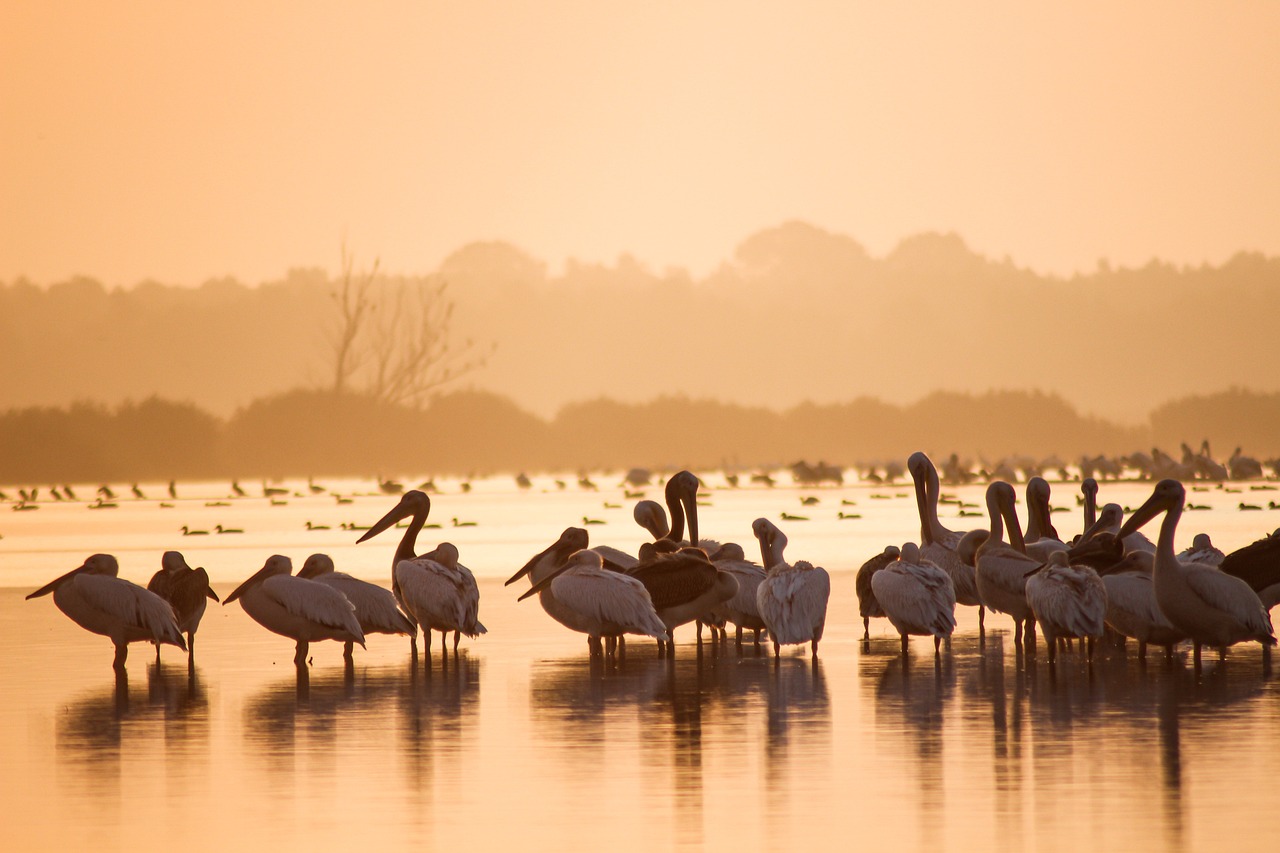 The Impact of Tourism on Cultural Heritage Conservation
